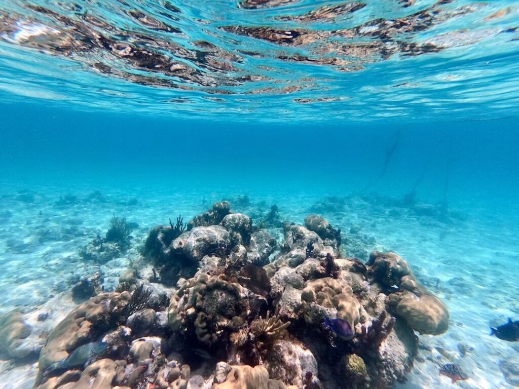 Grace Bay, Turks & Caicos