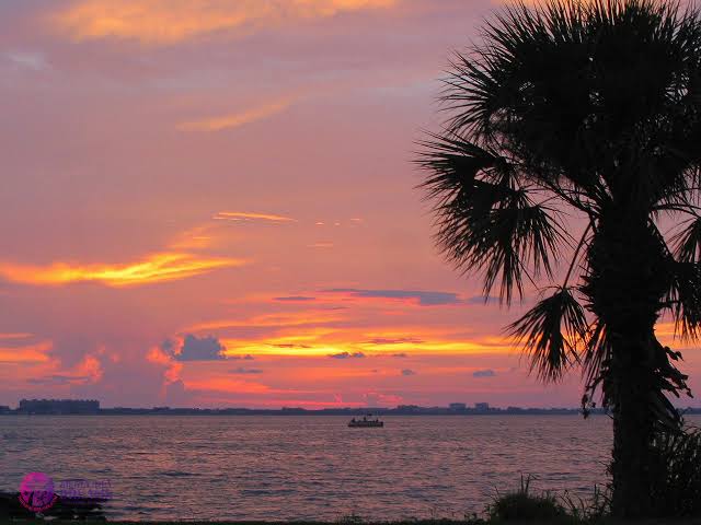 Siesta Key Sunset