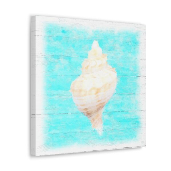 Conch Seashell Canvas Wall Art