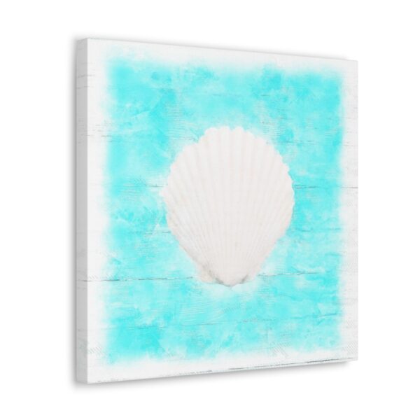 Scallop Seashell canvas Wall Art