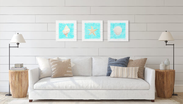 Seashells Wall Art