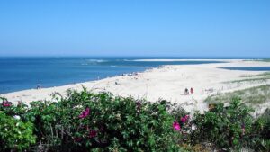 Chatham Lighthouse Beach